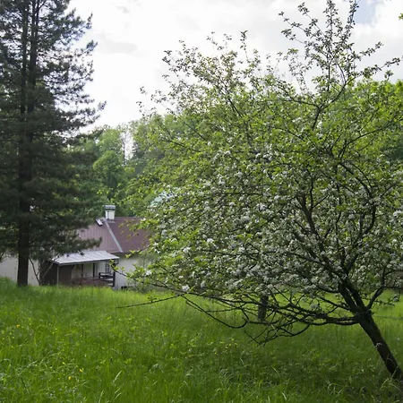 U Lesa Pod Rokli Semesterbostad *