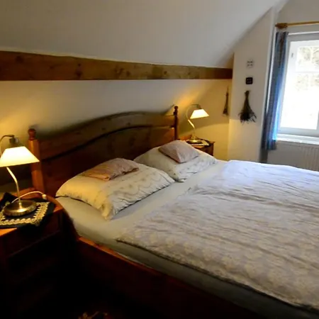 U Lesa Pod Rokli Casa de Férias *